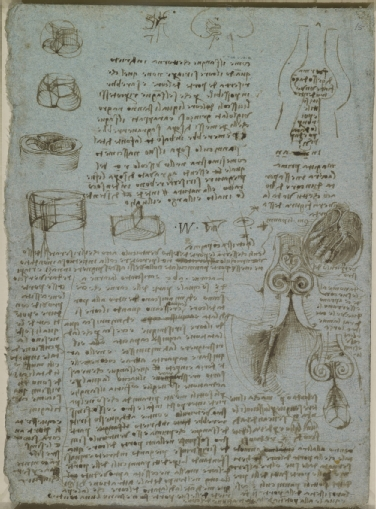 202_Kuijpers_Figure 1- Da Vinci - History in medicine the aortic valve.jpg